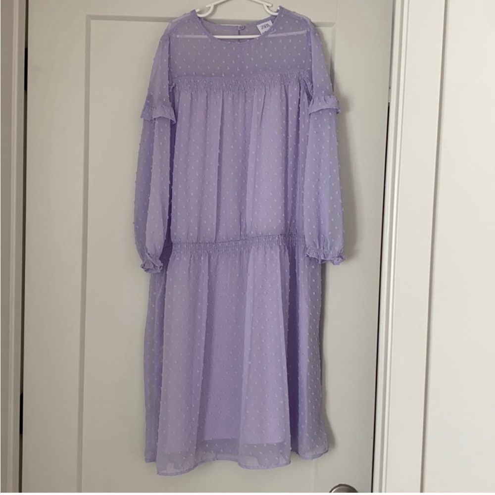 Zara clip dot drop waist dress